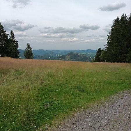 Ferienhaus Usseln Willingen  Exterior foto